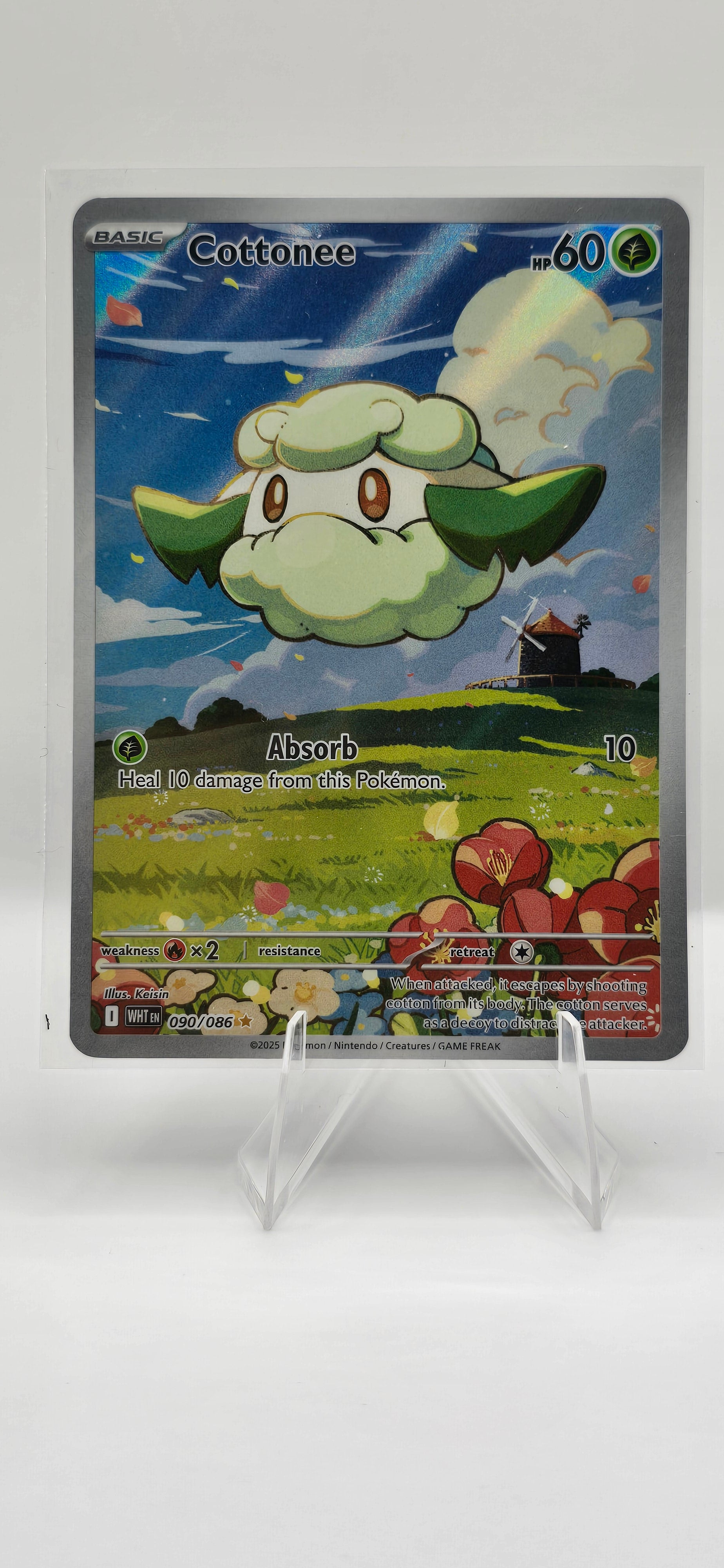 COTTONEE - 090/86 - ALT ART - WHITE FLARE ENGLISH