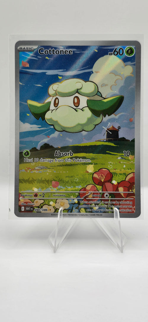 COTTONEE - 090/86 - ALT ART - WHITE FLARE ENGLISH